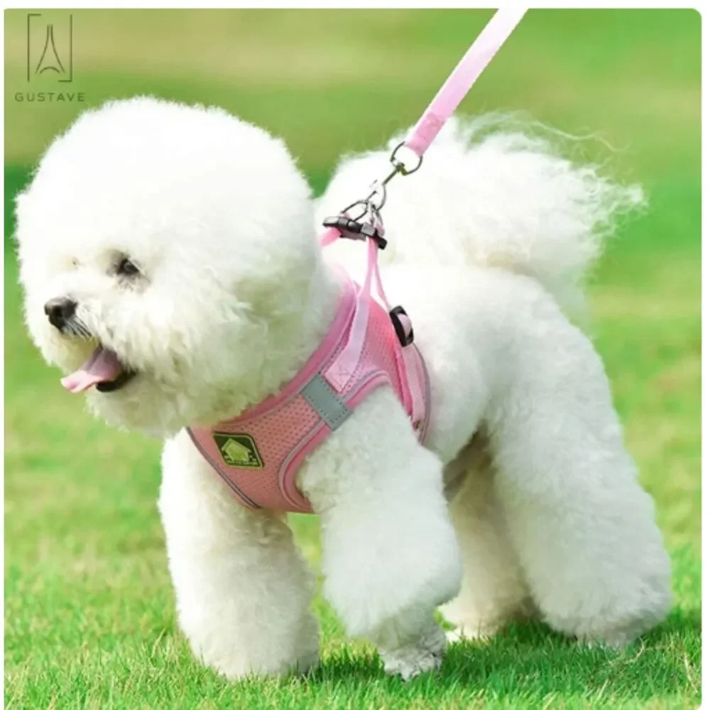 NEW - Dog Harness & Leash Set Small Reflective Breathable Mesh Pet Vest Small